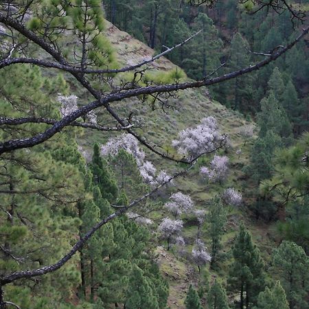 Casa Rural El Riachuelo Garafía Eksteriør billede
